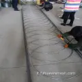 Filo a rasoio piatto spinato per pannelli a nastro di tipo